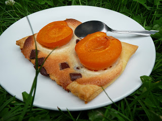 » Tartelettes abricot-amandine-chocolat